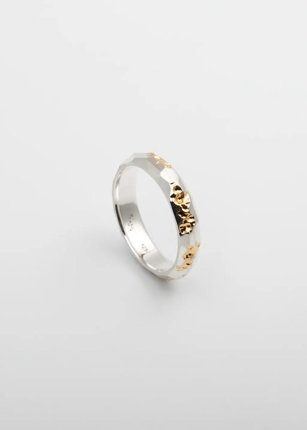 Polyhedron ring